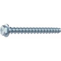MULTI-MONTI MMS plus SS ø20,0x180 mm tête hexagonale avec embase (6pc)